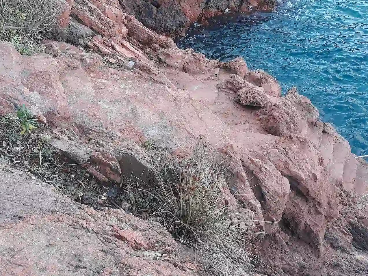 Camouflage d'un escalier sur le littoral_